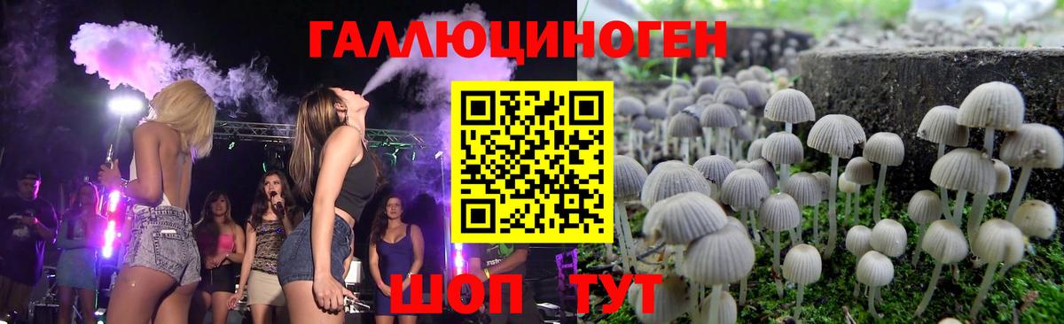 Галлюциногенные грибы GOLDEN TEACHER Можайск